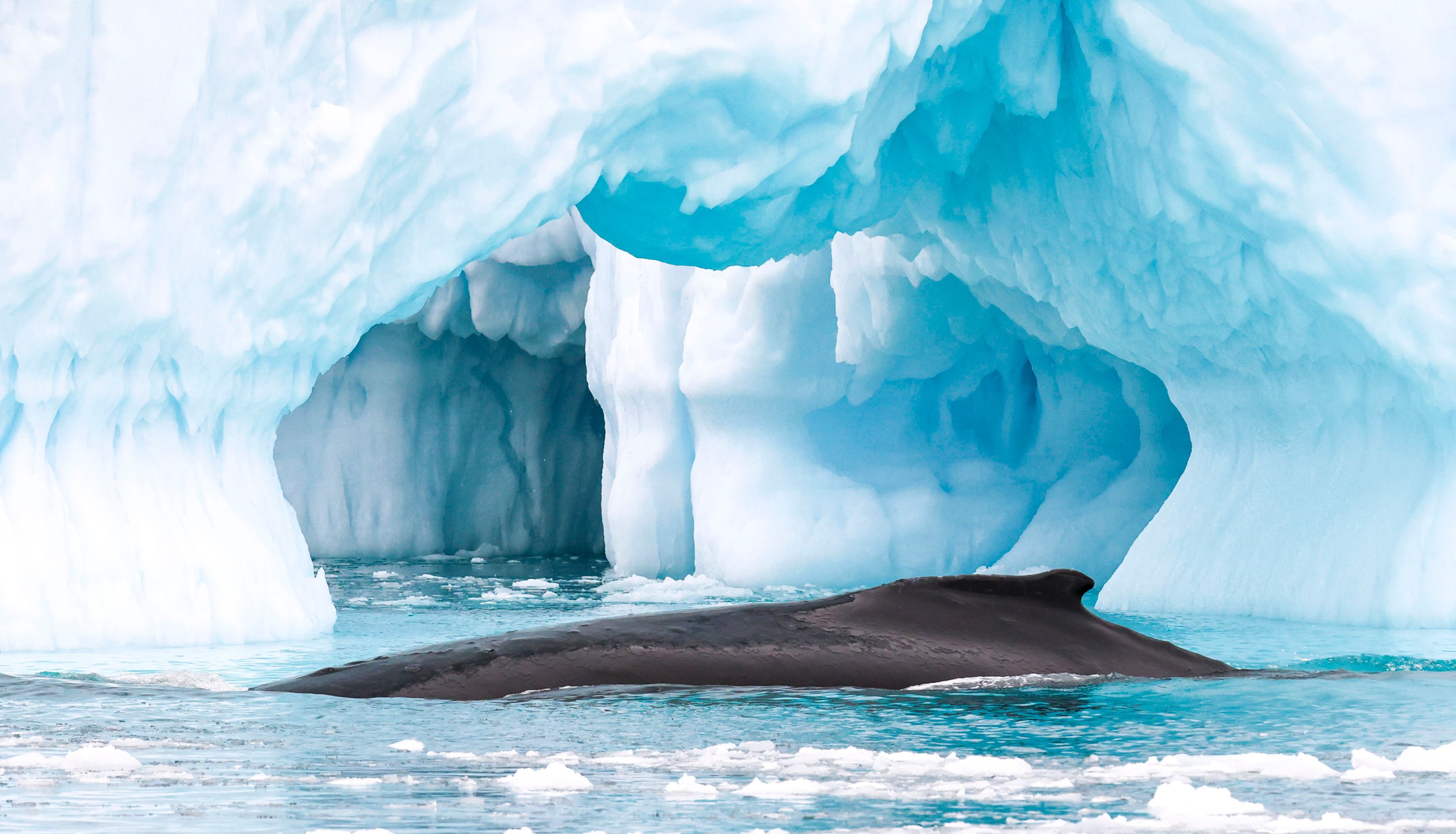 D6_Greenland_Ilulissat_AEX_09