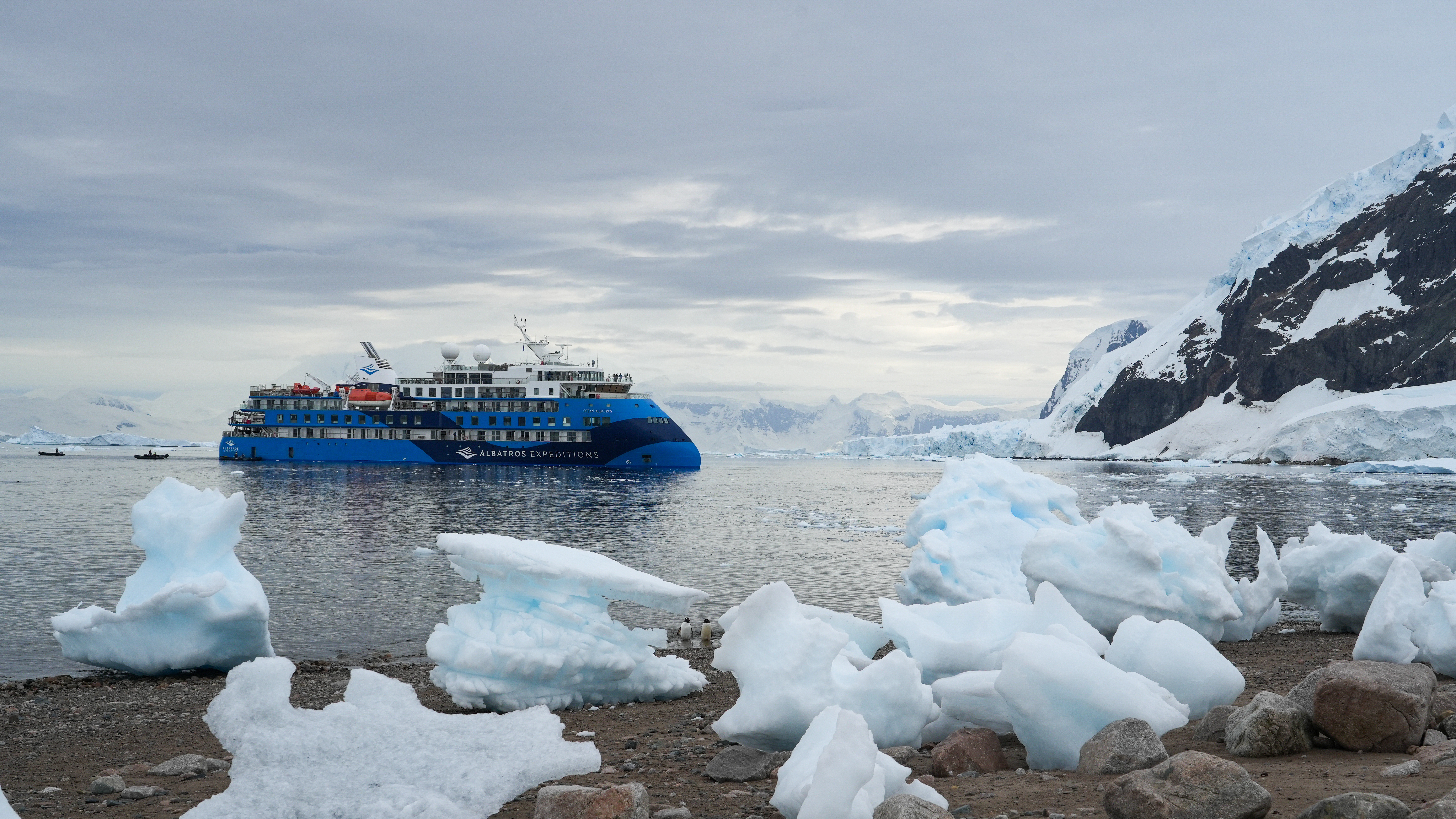 Neko Harbour_LuisLalama-1-1